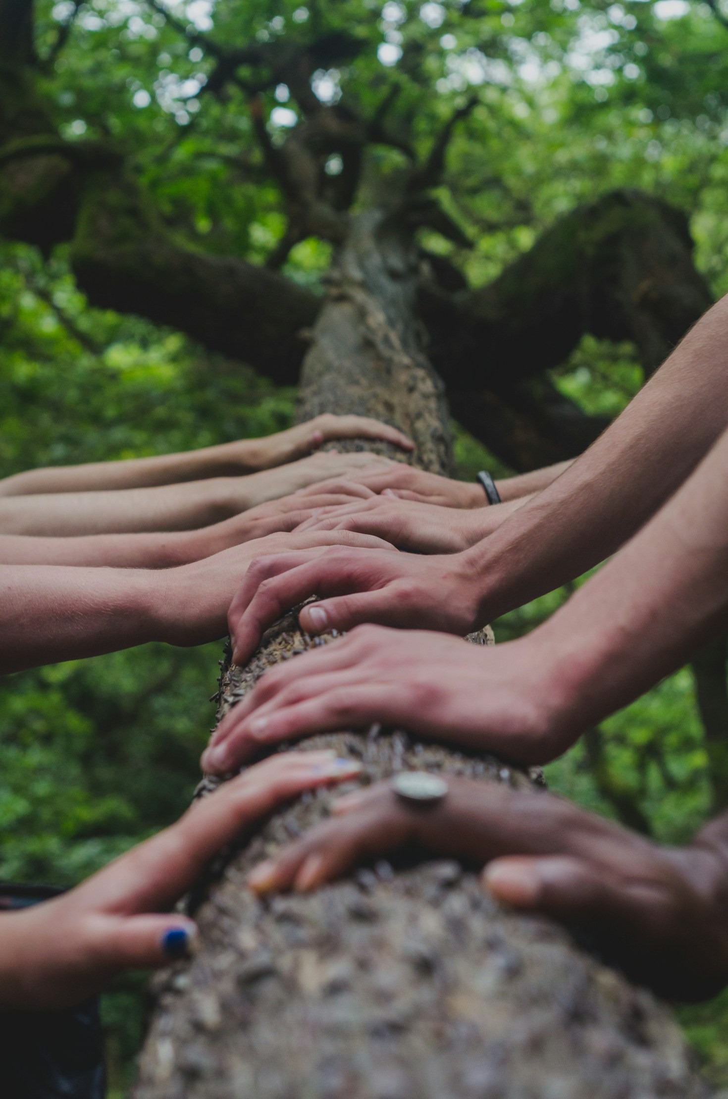 Tips for Emotional Support During Job Transitions